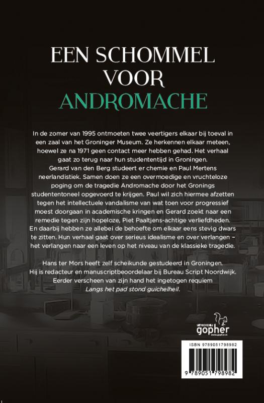 Achterkant van Een schommel voor Andromache