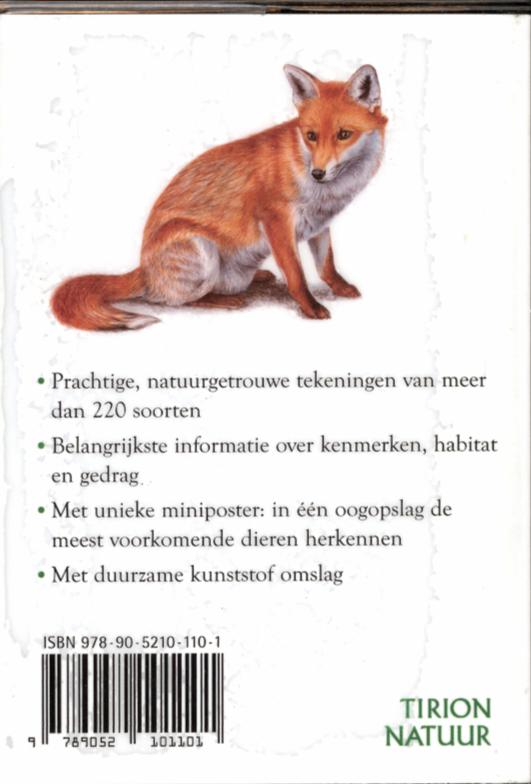 Achterkant van Dieren rond het huis