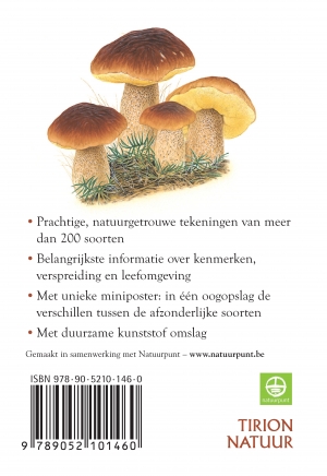 Achterkant van Paddenstoelen