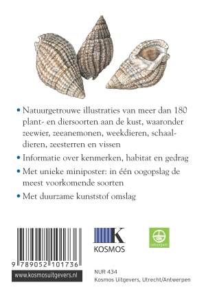 Achterkant van Strand en kust
