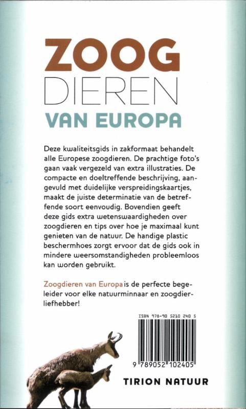 Achterkant van Zoogdieren