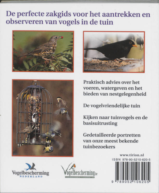 Achterkant van Kleine vogels over de vloer