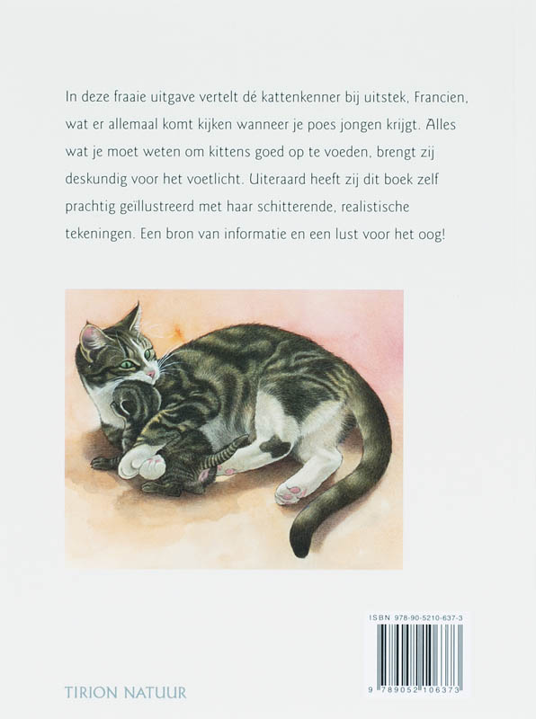 Achterkant van Kittens in huis