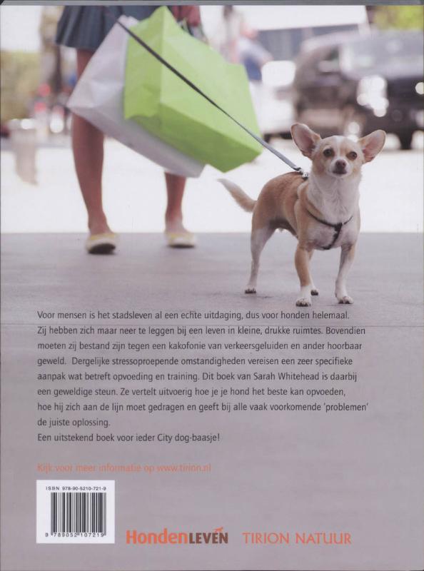 Achterkant van City Dog