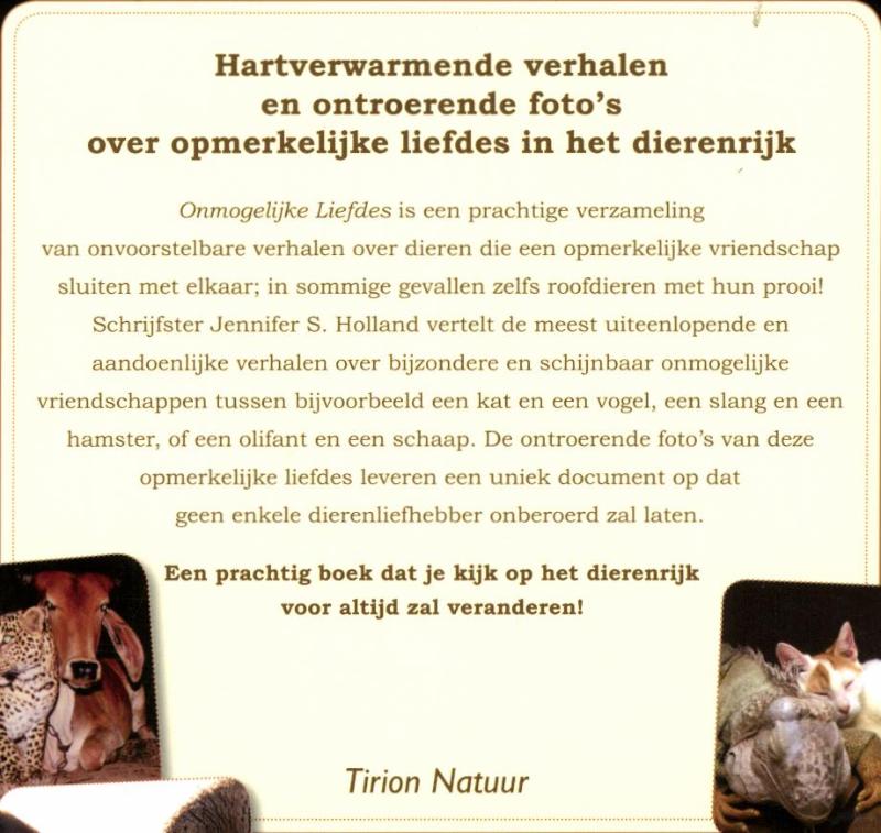 Achterkant van Onmogelijke liefdes