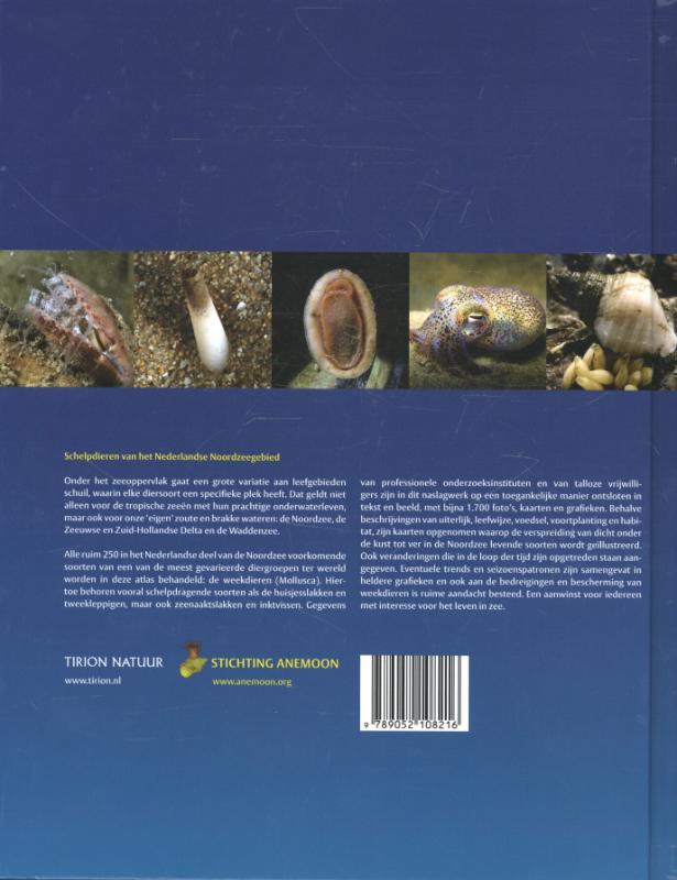 Achterkant van Schelpdieren van het Nederlandse Noordzeegebied