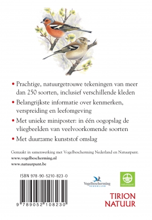 Achterkant van Compact Gids Vogels