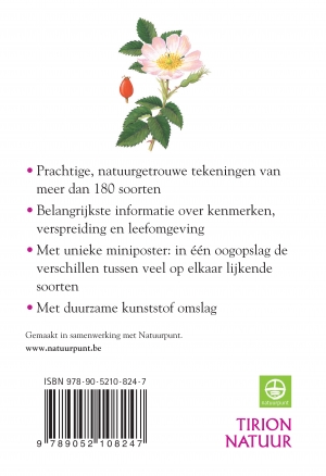 Achterkant van Compact Gids Bloemen