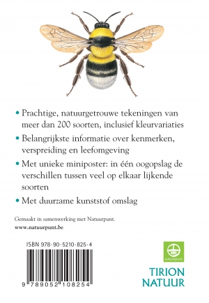 Achterkant van Compact Gids Insecten