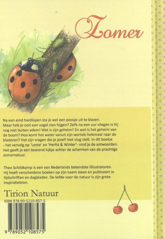 Achterkant van Zomer