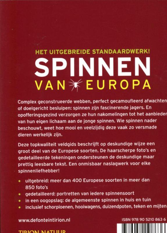 Achterkant van Spinnen van Europa