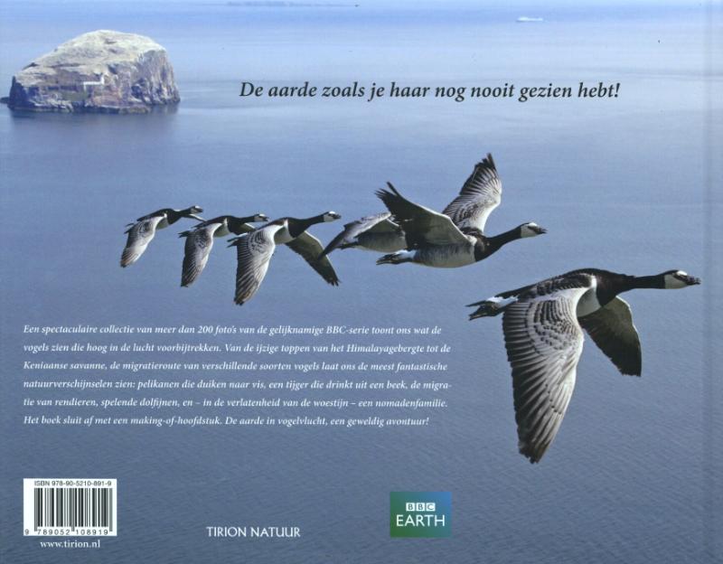 Achterkant van Vogelvlucht