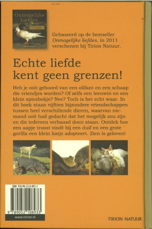 Achterkant van Onmogelijke liefdes voor kids