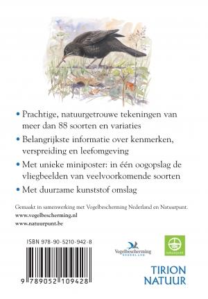 Achterkant van Tuinvogels