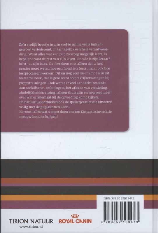 Achterkant van Een puppy in huis