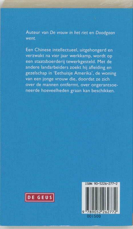 Achterkant van Eethuisje Amerika