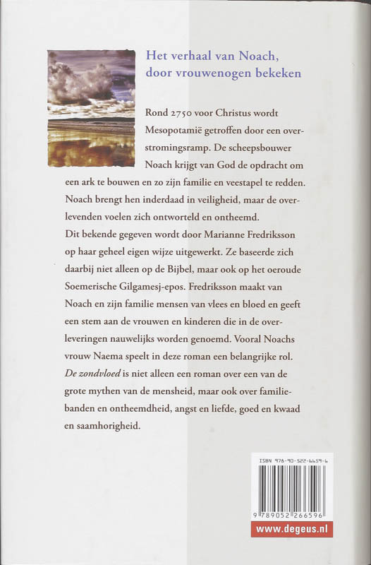 Achterkant van De zondvloed