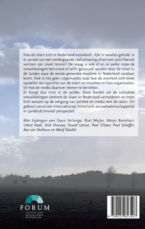 Achterkant van Mist in de polder