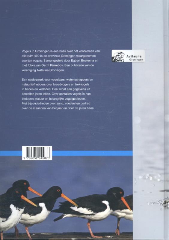 Achterkant van Vogels in Groningen
