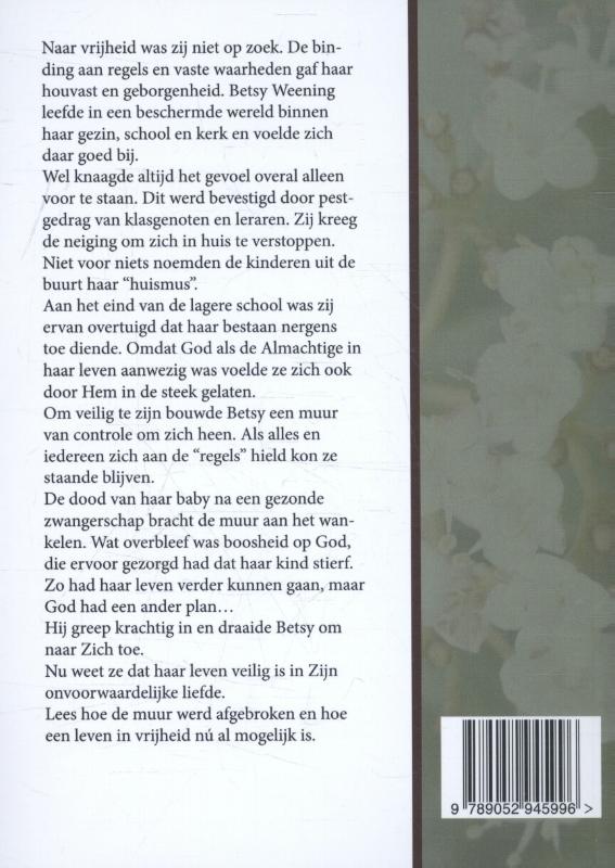 Achterkant van Een tipje van de sluier