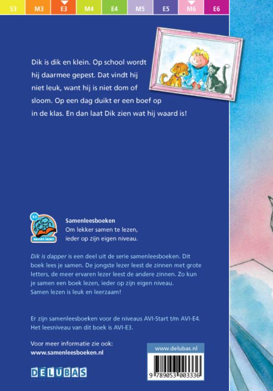 Achterkant van Dik is dapper