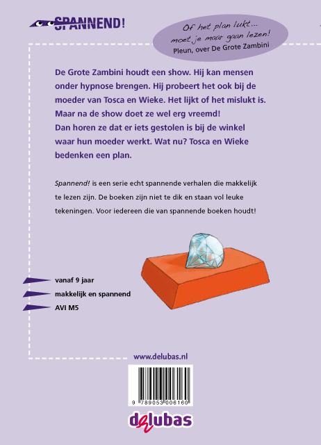 Achterkant van De grote Zambini