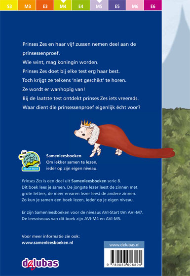 Achterkant van Prinses Zes