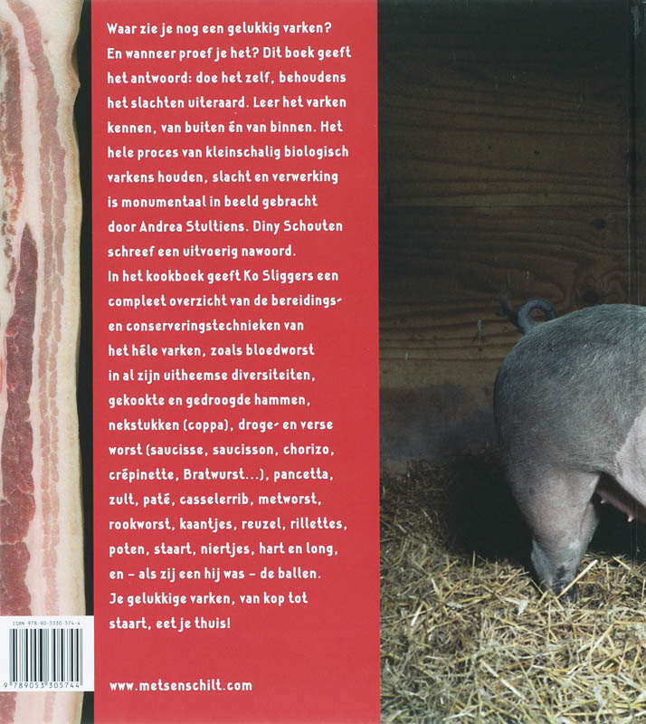 Achterkant van Sus Domesticus