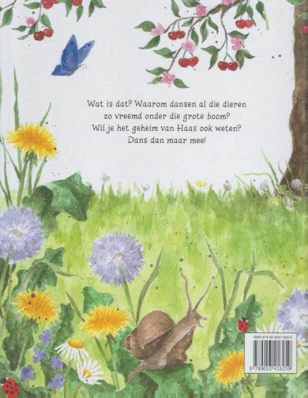 Achterkant van Het geheim van Haas