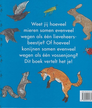 Achterkant van Hoeveel weegt een lieveheersbeestje?