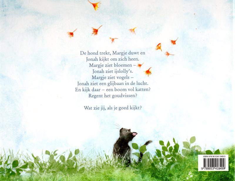 Achterkant van Ik zie, ik zie, wat jij niet ziet