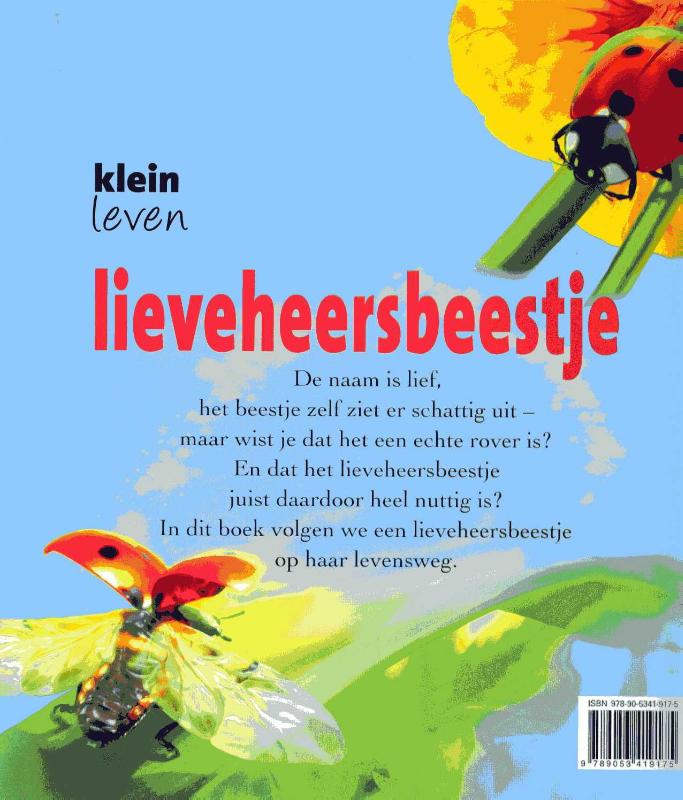 Achterkant van Lieveheersbeestje