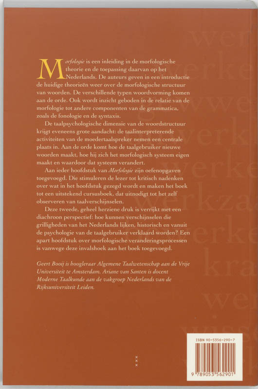 Achterkant van Morfologie