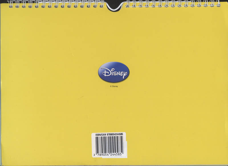 Achterkant van 2009 Disney