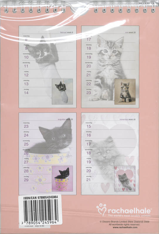 Achterkant van Weekkalender 2010 Rachael Hale Katten