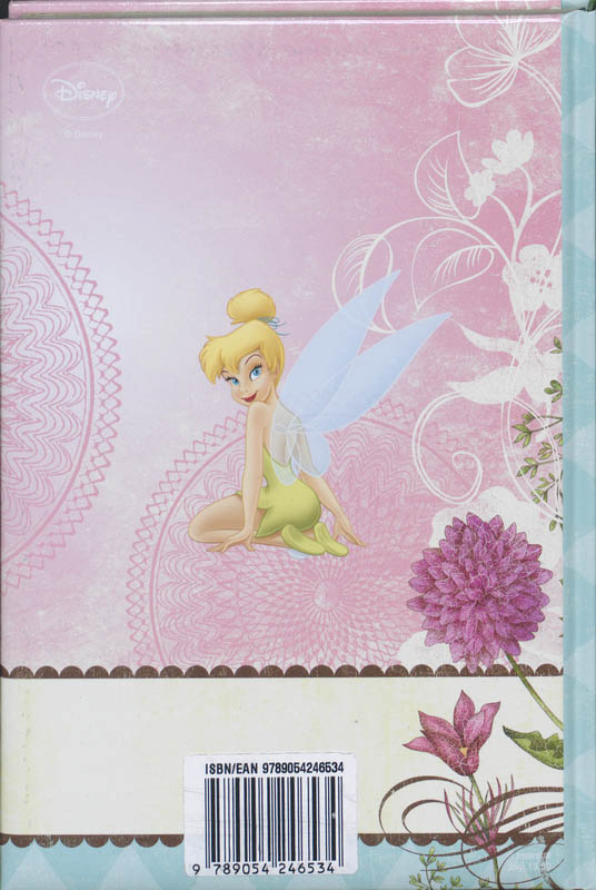 Achterkant van Schoolagenda 10-11 Tinker Bell