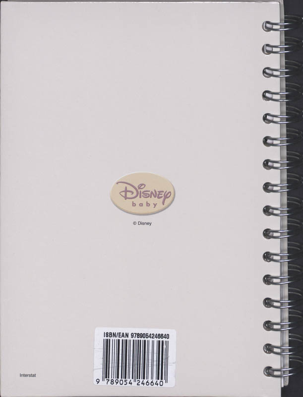 Achterkant van Disney Magical Beginnings creche/oppasboek