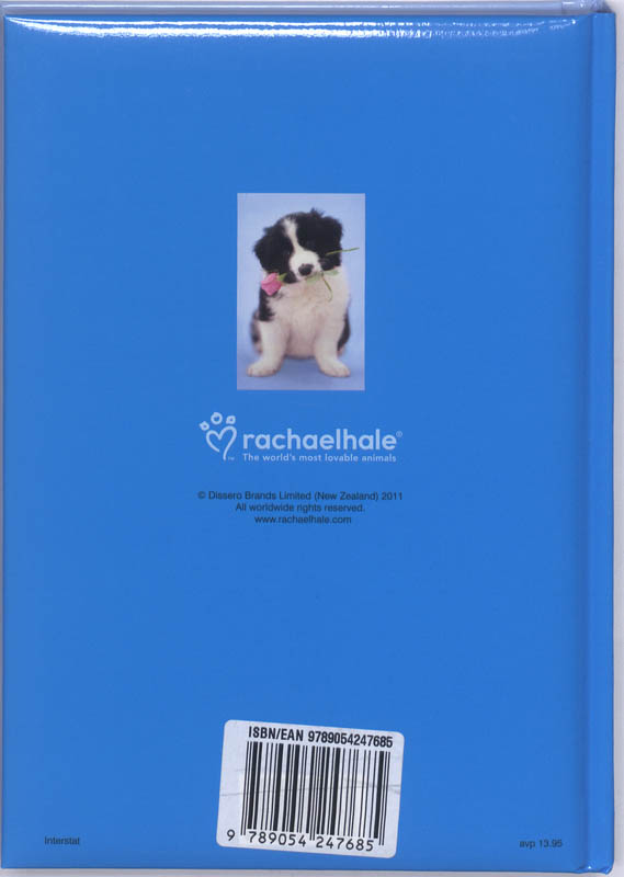 Achterkant van 11-12 Rachael Hale