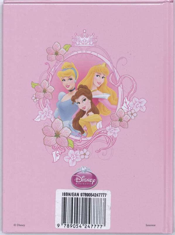 Achterkant van Disney Prinsessen Vriendenboek