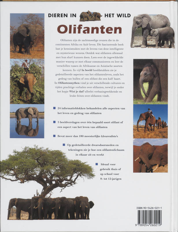 Achterkant van Olifanten