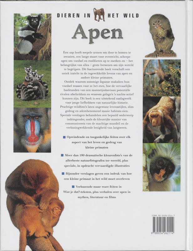 Achterkant van Apen