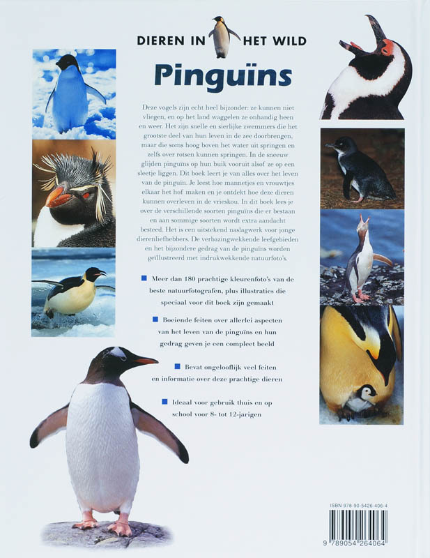 Achterkant van Pinguins