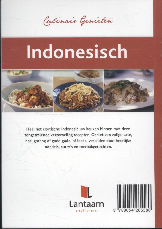 Achterkant van Indonesisch