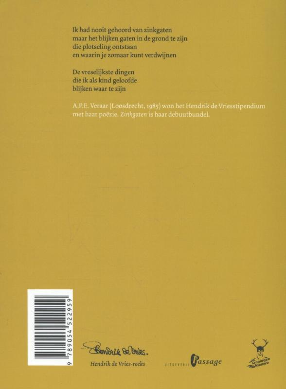 Achterkant van Zinkgaten