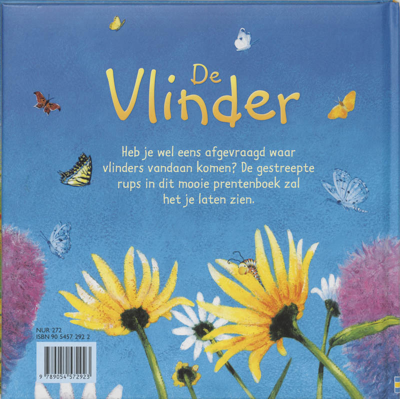 Achterkant van De vlinder