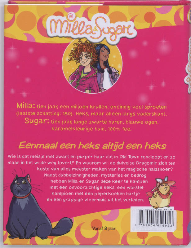 Achterkant van Eens een heks altijd een heks