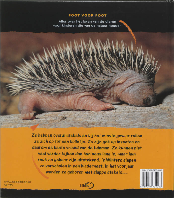 Achterkant van Egels