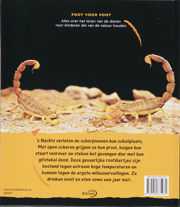 Achterkant van Schorpioenen