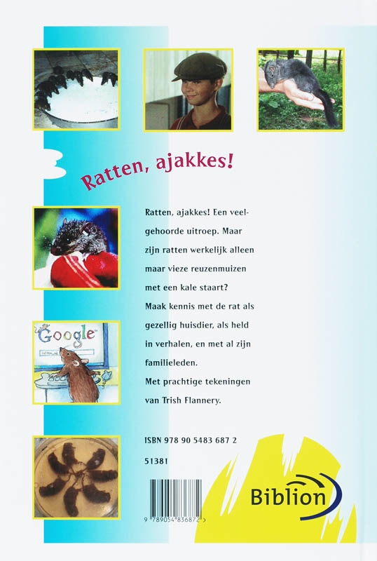 Achterkant van Ratjetoe
