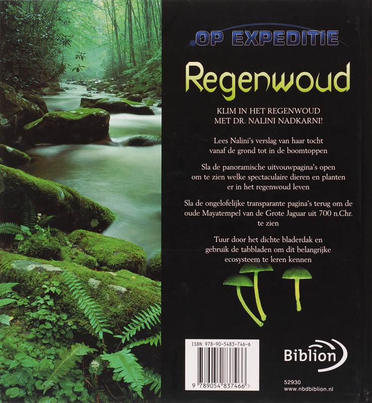 Achterkant van Regenwoud